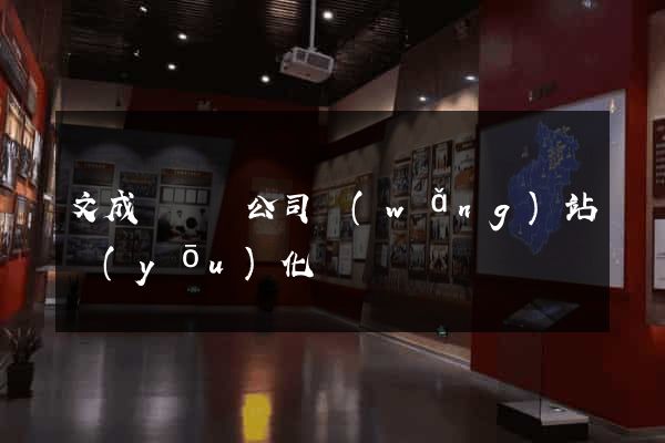 文成縣設計公司網(wǎng)站優(yōu)化