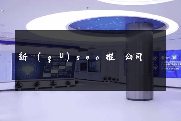 新區(qū)seo推廣公司