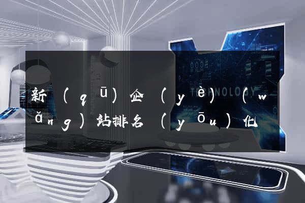 新區(qū)企業(yè)網(wǎng)站排名優(yōu)化