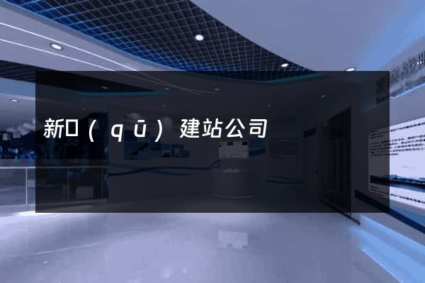 新區(qū)建站公司