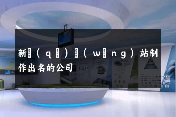 新區(qū)網(wǎng)站制作出名的公司