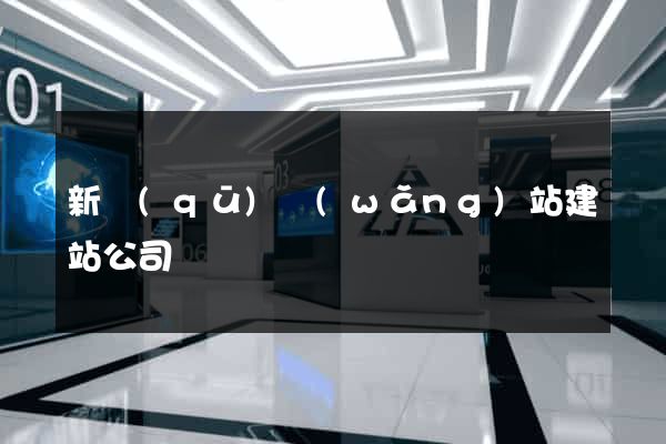 新區(qū)網(wǎng)站建站公司
