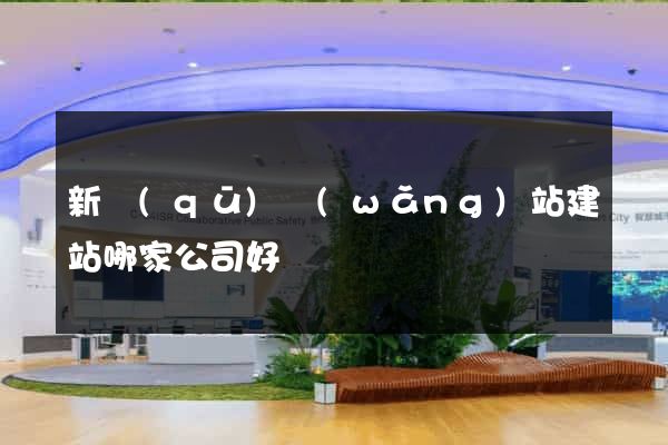 新區(qū)網(wǎng)站建站哪家公司好