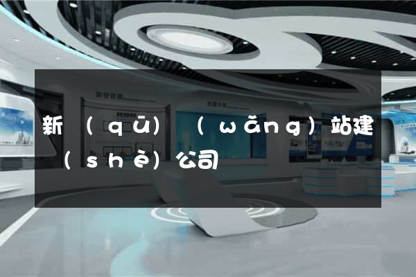 新區(qū)網(wǎng)站建設(shè)公司