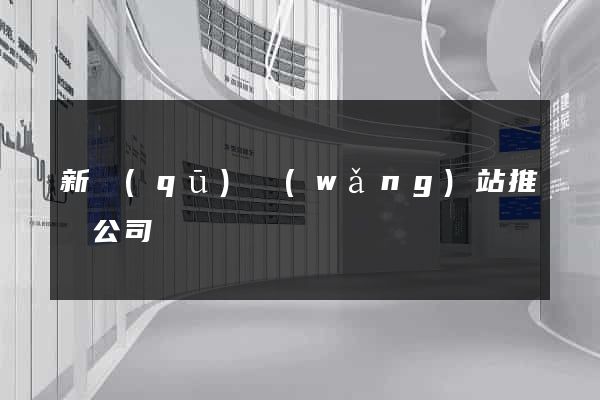 新區(qū)網(wǎng)站推廣公司