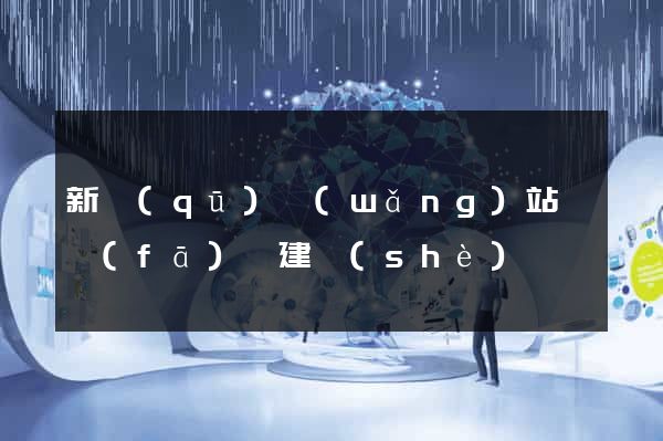 新區(qū)網(wǎng)站開發(fā)與建設(shè)