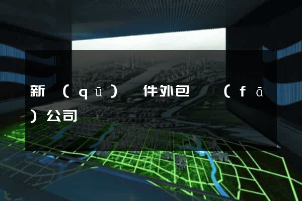 新區(qū)軟件外包開發(fā)公司