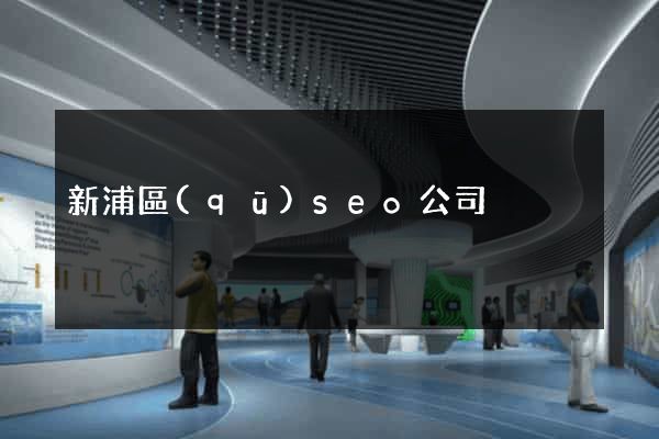 新浦區(qū)seo公司