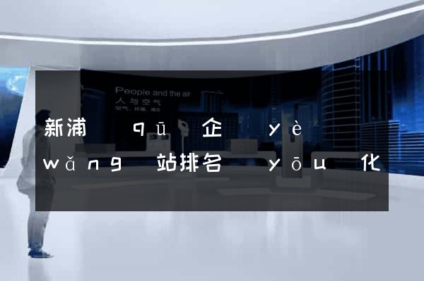 新浦區(qū)企業(yè)網(wǎng)站排名優(yōu)化