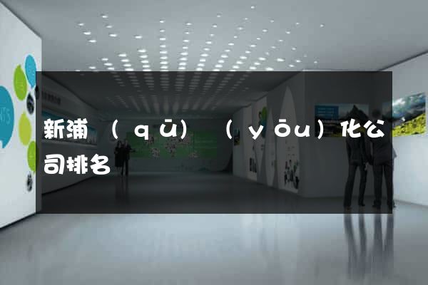 新浦區(qū)優(yōu)化公司排名