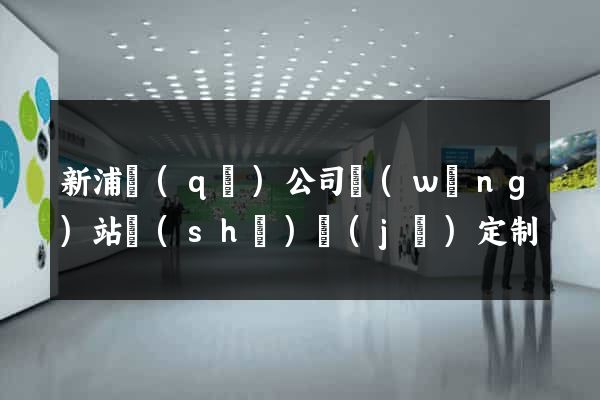 新浦區(qū)公司網(wǎng)站設(shè)計(jì)定制
