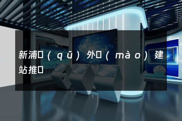 新浦區(qū)外貿(mào)建站推廣