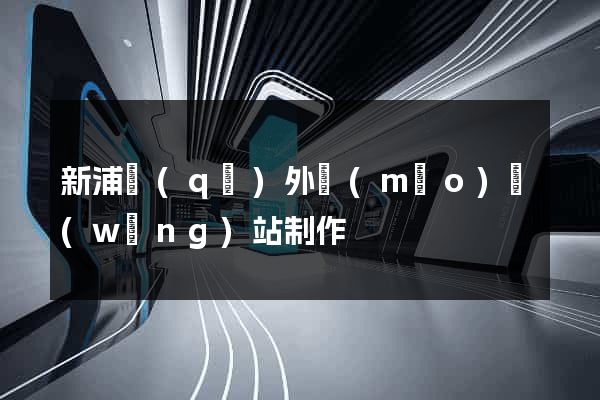 新浦區(qū)外貿(mào)網(wǎng)站制作
