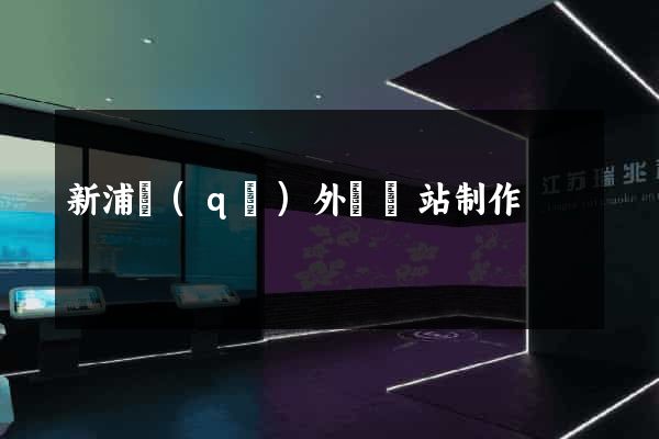 新浦區(qū)外貿網站制作