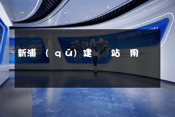 新浦區(qū)建個網站費用