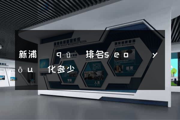 新浦區(qū)排名seo優(yōu)化多少錢
