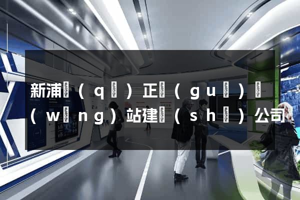 新浦區(qū)正規(guī)網(wǎng)站建設(shè)公司