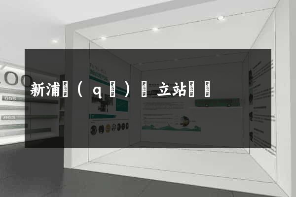 新浦區(qū)獨立站運營