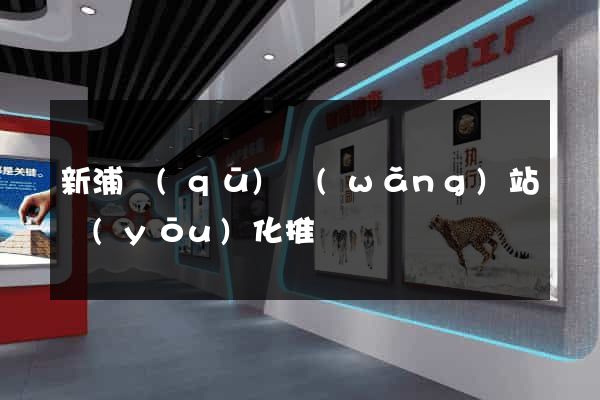 新浦區(qū)網(wǎng)站優(yōu)化推廣