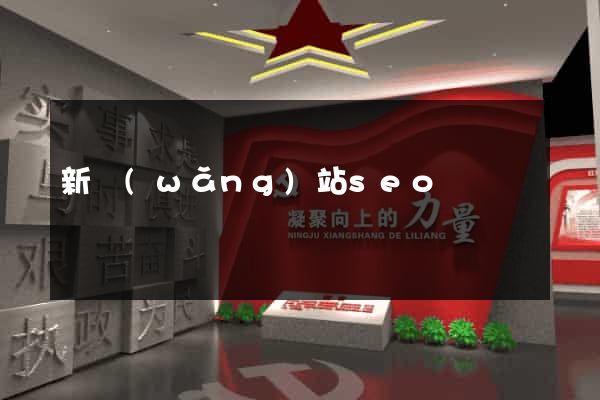 新網(wǎng)站seo