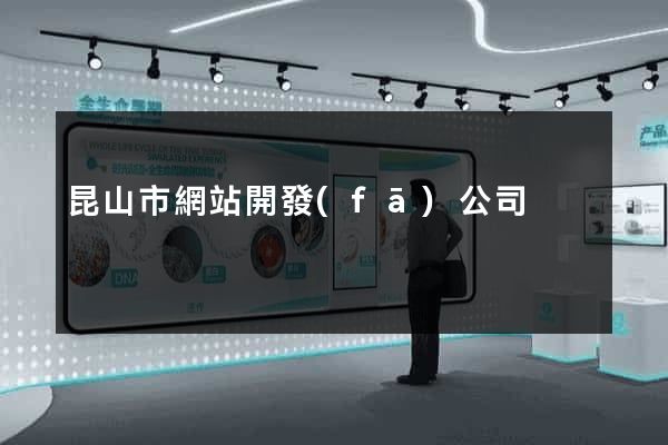 昆山市網站開發(fā)公司