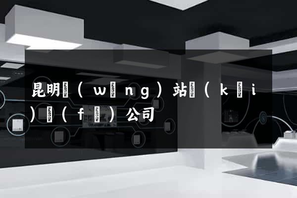 昆明網(wǎng)站開(kāi)發(fā)公司