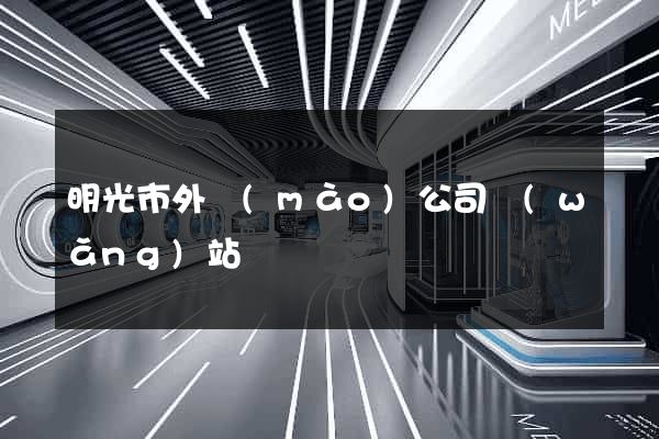 明光市外貿(mào)公司網(wǎng)站