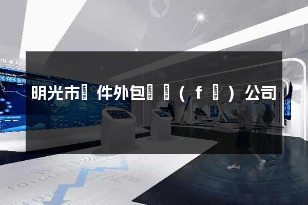 明光市軟件外包開發(fā)公司