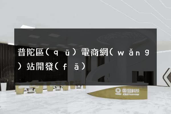 普陀區(qū)電商網(wǎng)站開發(fā)