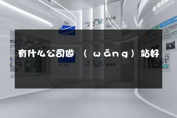 有什么公司做網(wǎng)站好