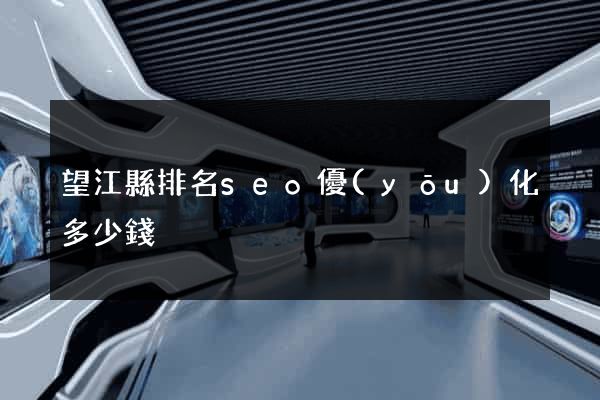 望江縣排名seo優(yōu)化多少錢