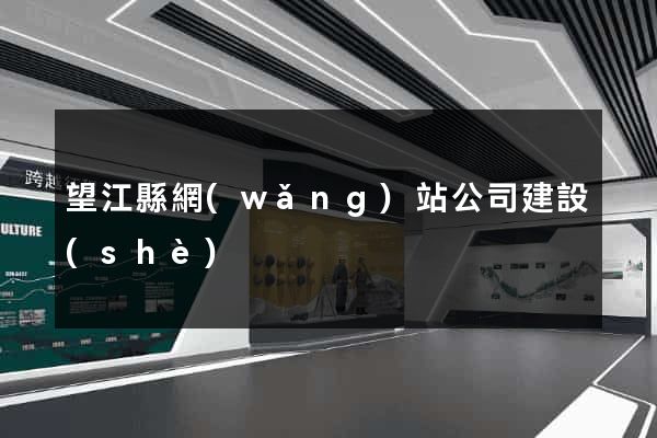 望江縣網(wǎng)站公司建設(shè)