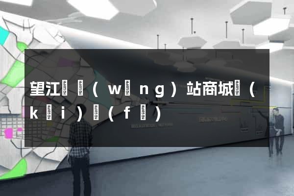 望江縣網(wǎng)站商城開(kāi)發(fā)