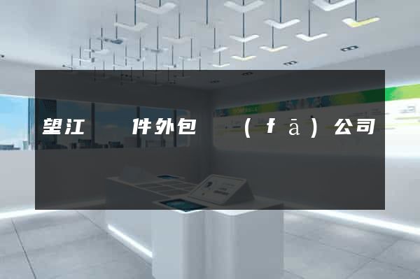 望江縣軟件外包開發(fā)公司