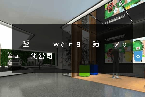 東至縣網(wǎng)站優(yōu)化公司