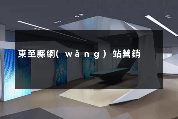 東至縣網(wǎng)站營銷
