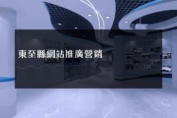 東至縣網站推廣營銷