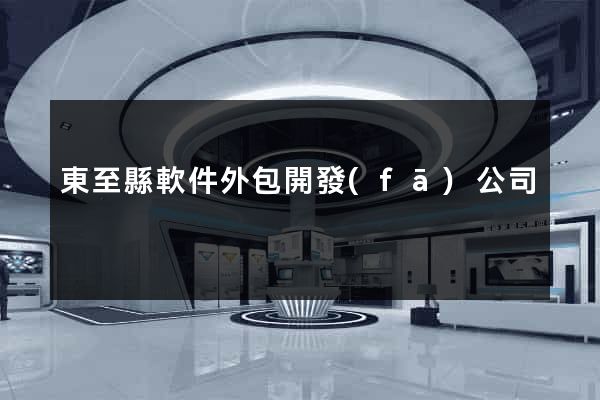 東至縣軟件外包開發(fā)公司