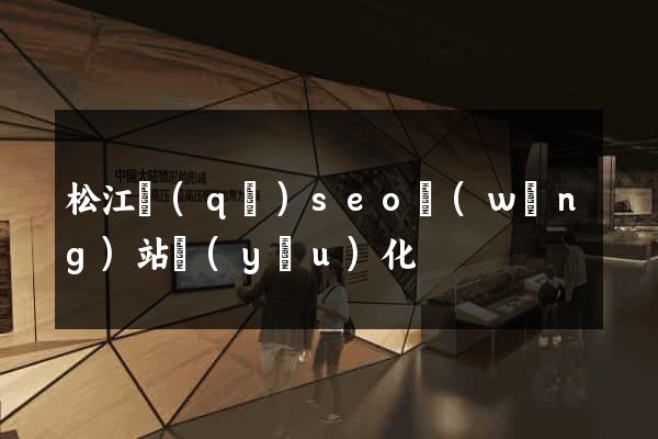 松江區(qū)seo網(wǎng)站優(yōu)化