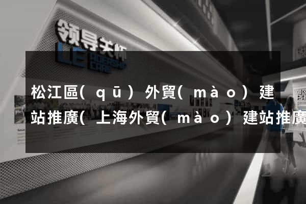 松江區(qū)外貿(mào)建站推廣(上海外貿(mào)建站推廣公司)