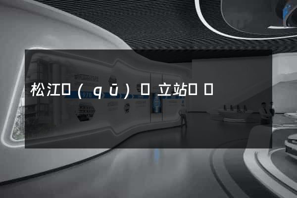 松江區(qū)獨立站運營