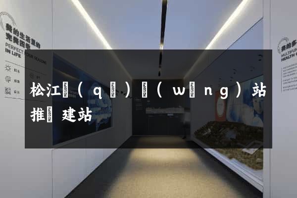 松江區(qū)網(wǎng)站推廣建站