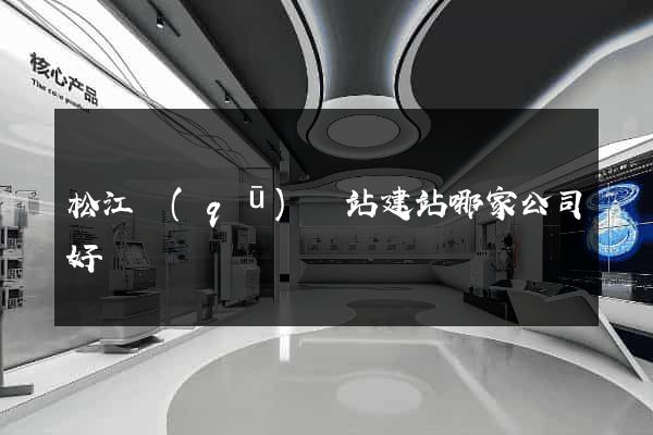 松江區(qū)網站建站哪家公司好