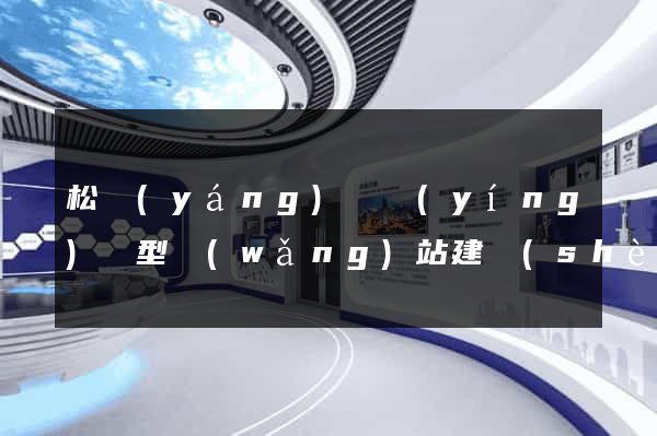 松陽(yáng)縣營(yíng)銷型網(wǎng)站建設(shè)