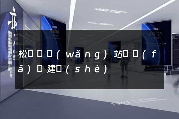 松陽縣網(wǎng)站開發(fā)與建設(shè)