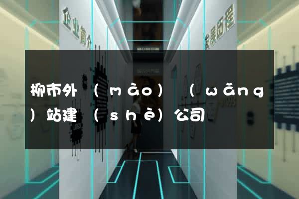 柳市外貿(mào)網(wǎng)站建設(shè)公司