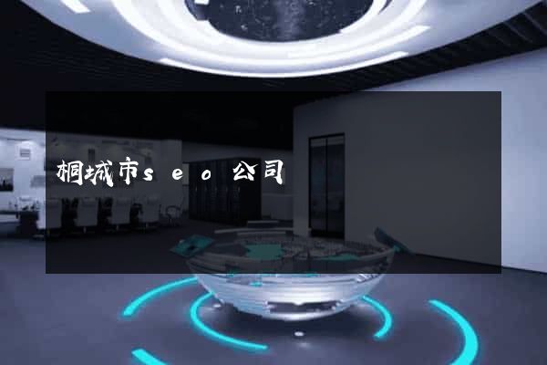 桐城市seo公司