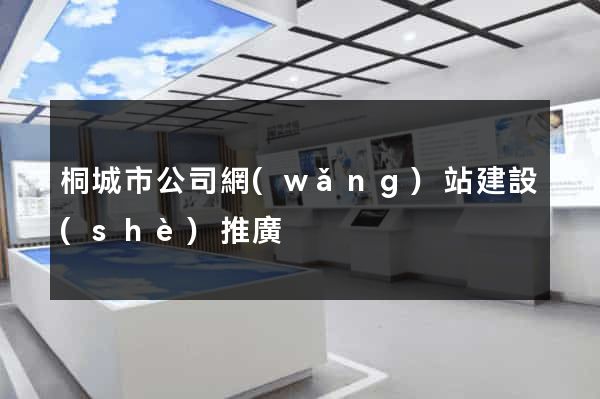 桐城市公司網(wǎng)站建設(shè)推廣