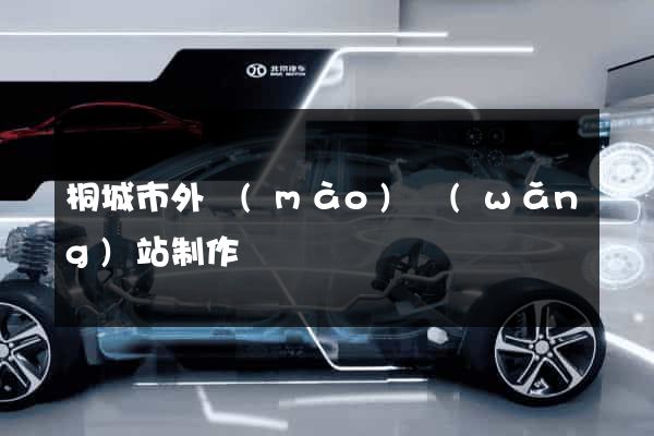 桐城市外貿(mào)網(wǎng)站制作