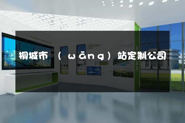 桐城市網(wǎng)站定制公司